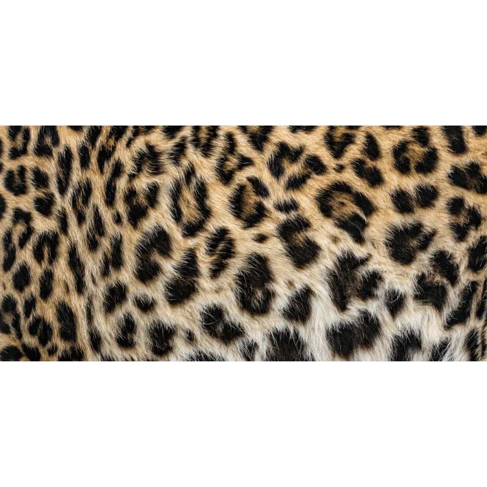 Leapord Pattern